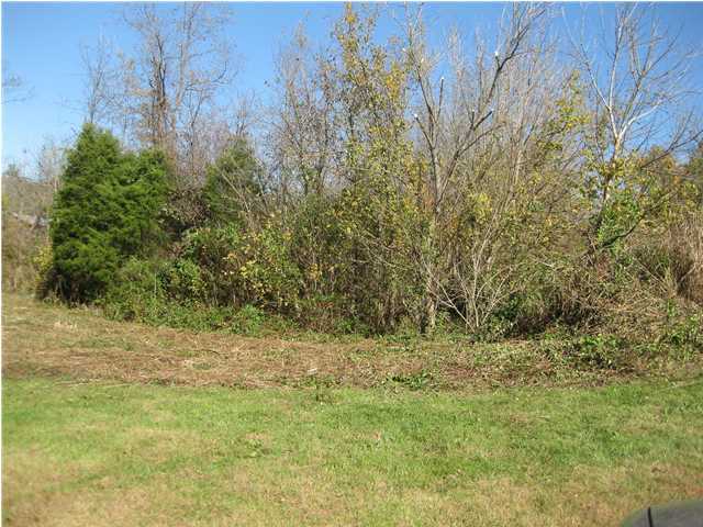 0 Wise Road Lebanon Junction, KY 40150 - Photo 1 of 2 Primary Photo