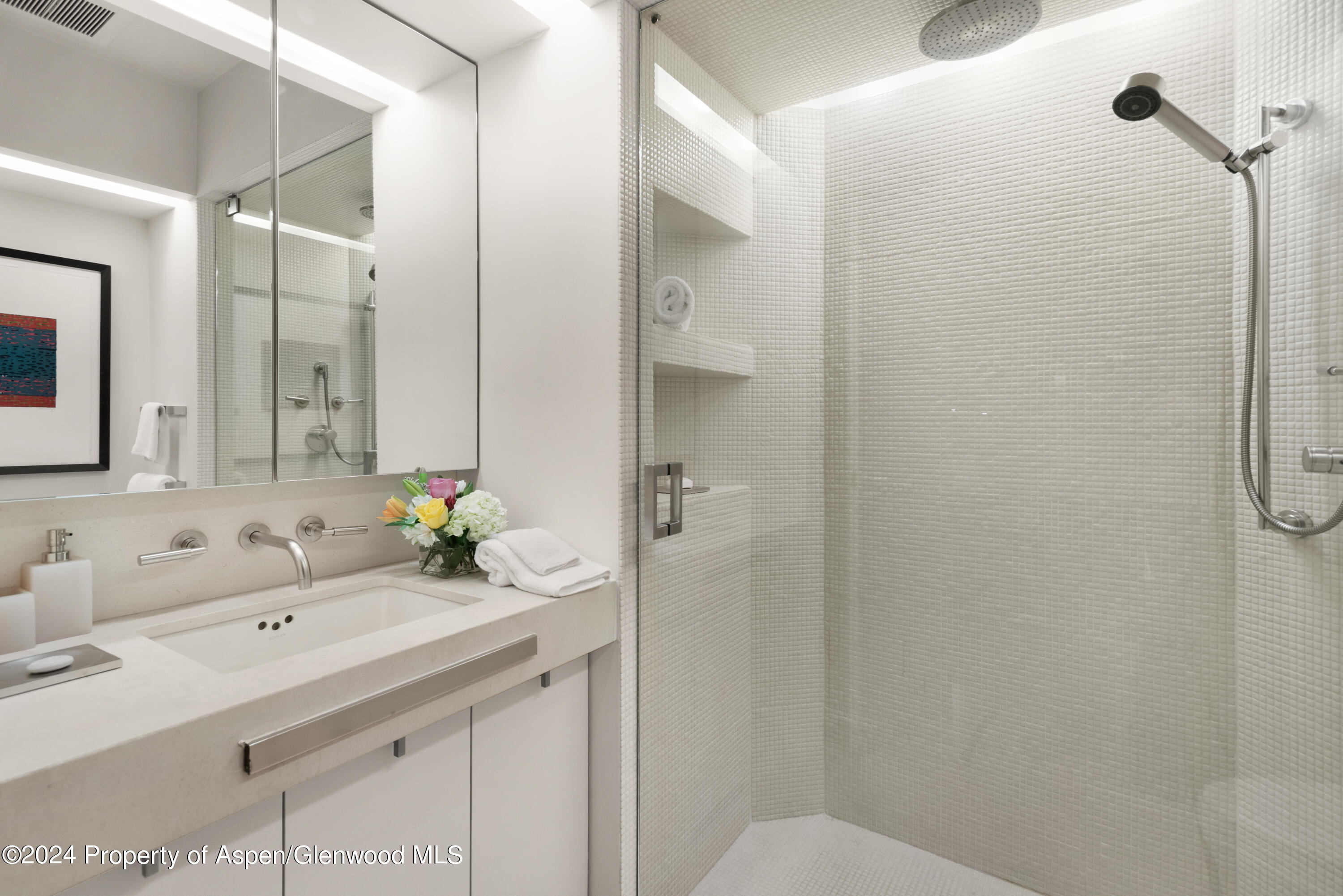 821 Cluny Road Aspen, CO 81611 - Photo 26 of 42 a bathroom with a sink a toilet and shower