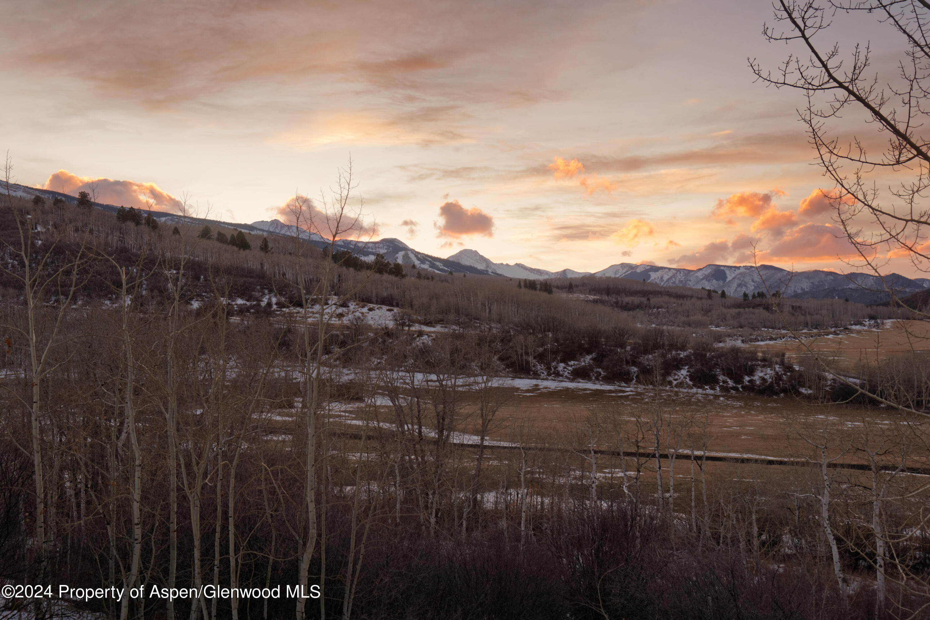 821 Cluny Road Aspen, CO 81611 - Photo 41 of 42 a view of a yard with wooden fence