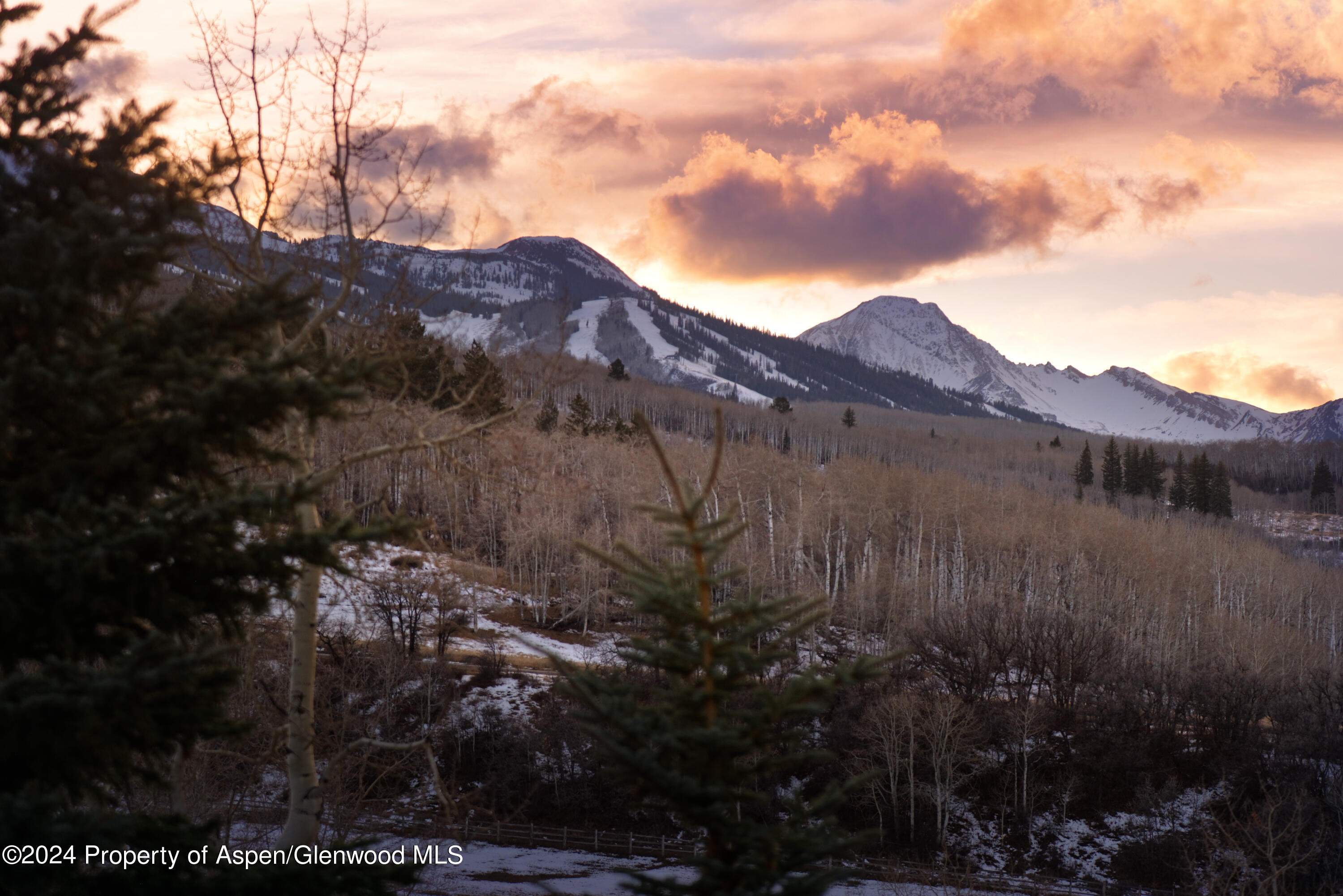 821 Cluny Road Aspen, CO 81611 - Photo 42 of 42 a view of a house with a mountain and a forest