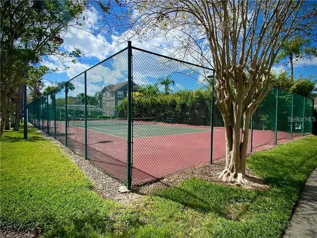 a view of a park with a tree