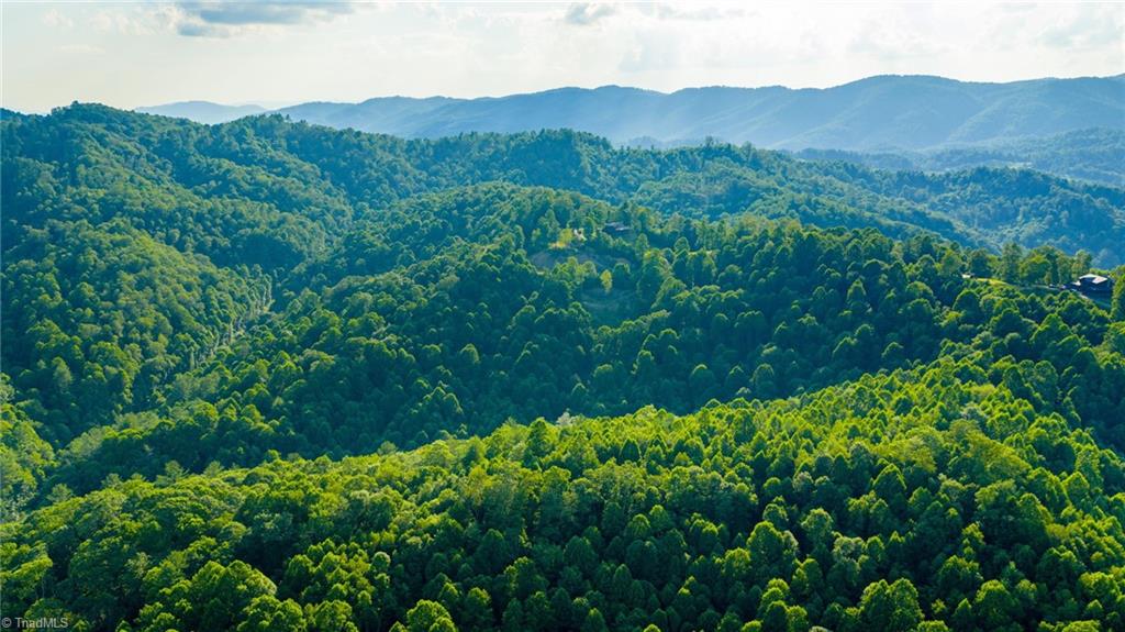 3 Big Laurel Road Creston, NC 28615 - Photo 13 of 17