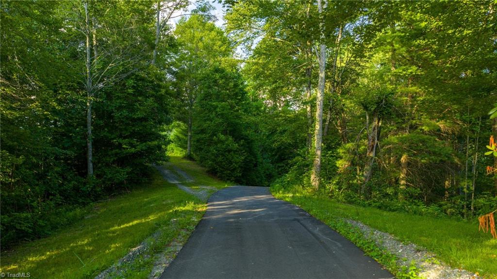 3 Big Laurel Road Creston, NC 28615 - Photo 14 of 17