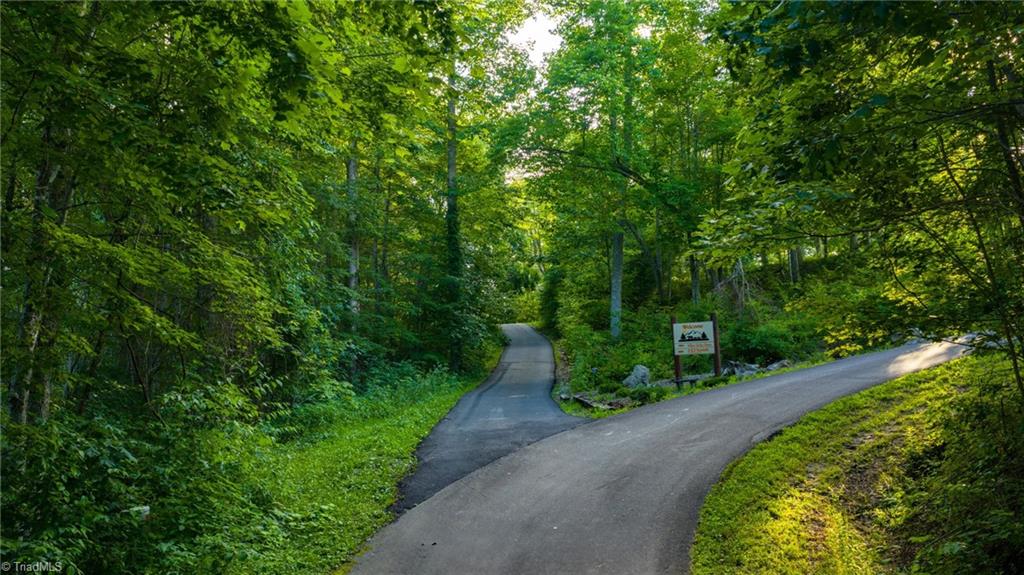 3 Big Laurel Road Creston, NC 28615 - Photo 15 of 17