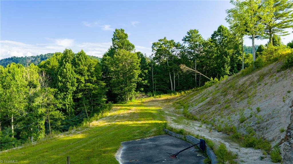 3 Big Laurel Road Creston, NC 28615 - Photo 2 of 17