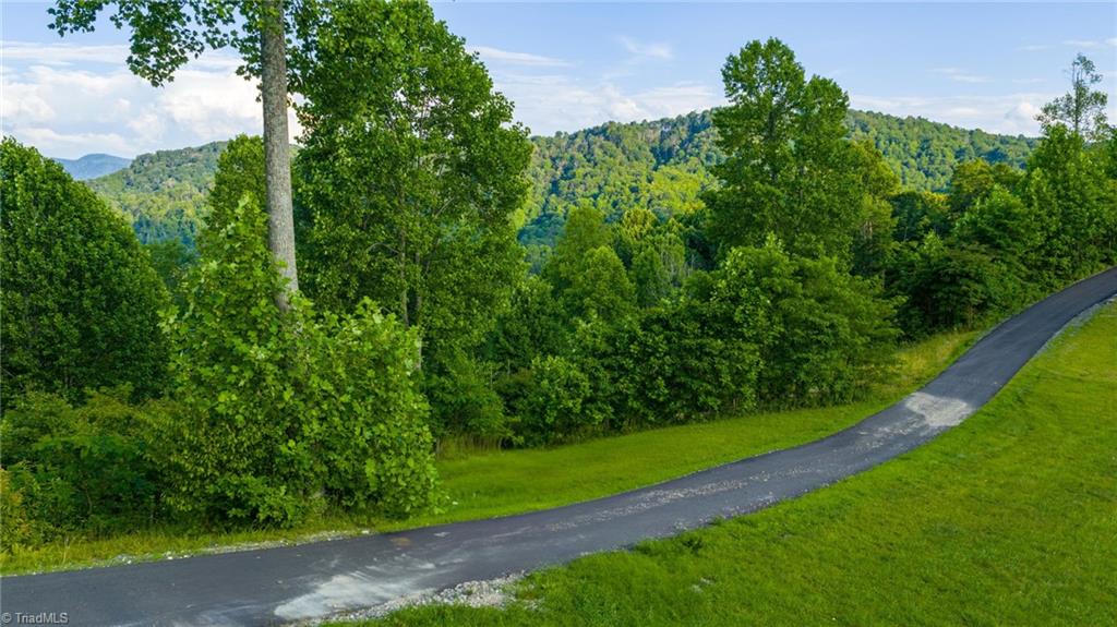 3 Big Laurel Road Creston, NC 28615 - Photo 3 of 17