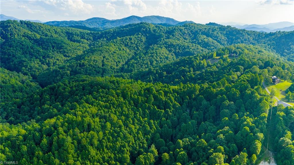 3 Big Laurel Road Creston, NC 28615 - Photo 4 of 17