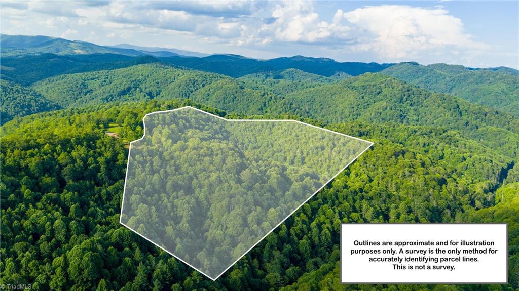 3 Big Laurel Road Creston, NC 28615 - Photo 5 of 17