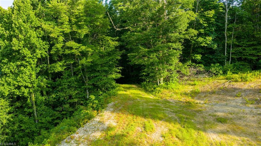 3 Big Laurel Road Creston, NC 28615 - Photo 6 of 17