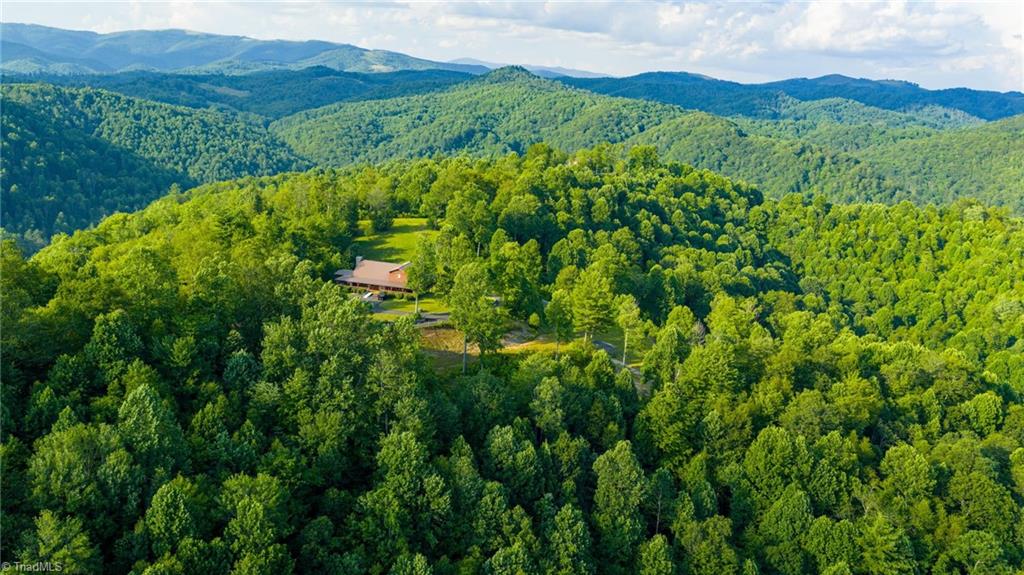 3 Big Laurel Road Creston, NC 28615 - Photo 10 of 17