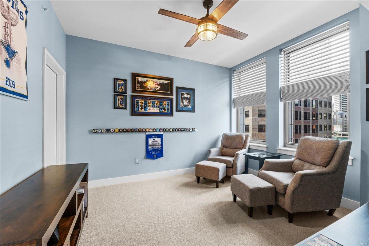 314 North Broadway, Unit 1302 St. Louis, MO 63102 - Photo 24 of 43