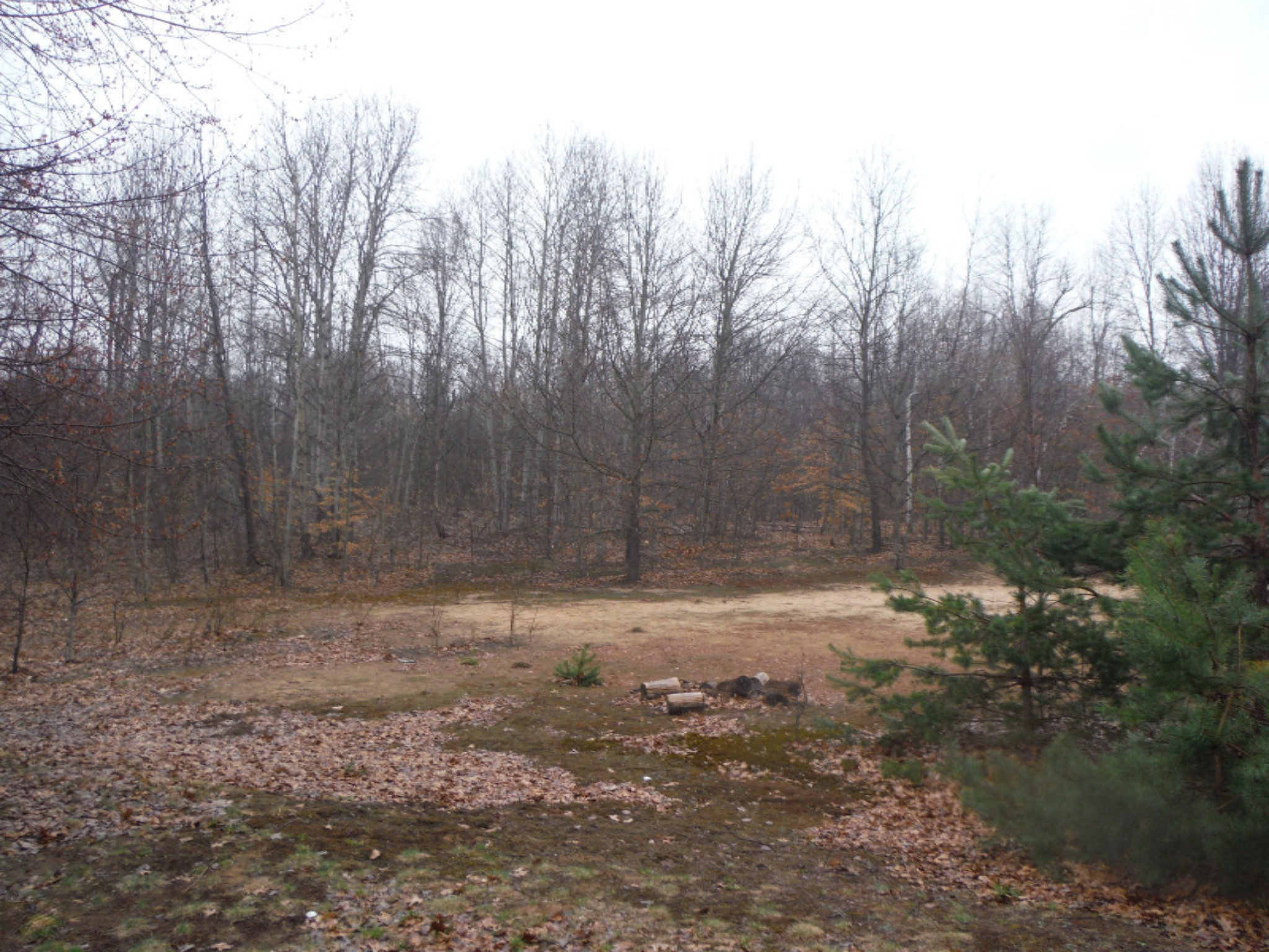 4900 Jensen Road Fruitport, MI 49415 - Photo 3 of 15 DSCF3744