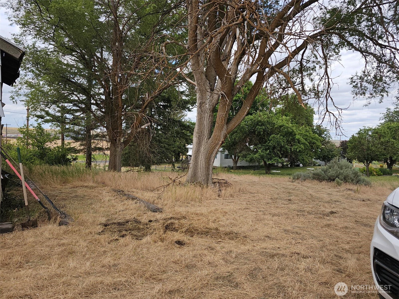 39681 Bluestem Road East Davenport, WA 99122 - Photo 7 of 20