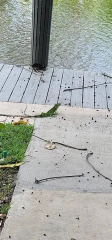 a view of wooden fence