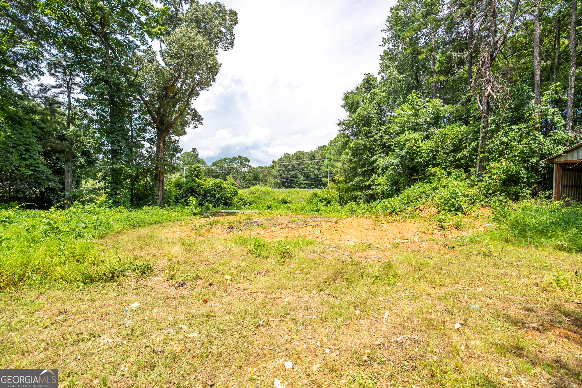 94 Wimberly Hill Loop Cedartown, GA 30125 - Photo 5 of 11