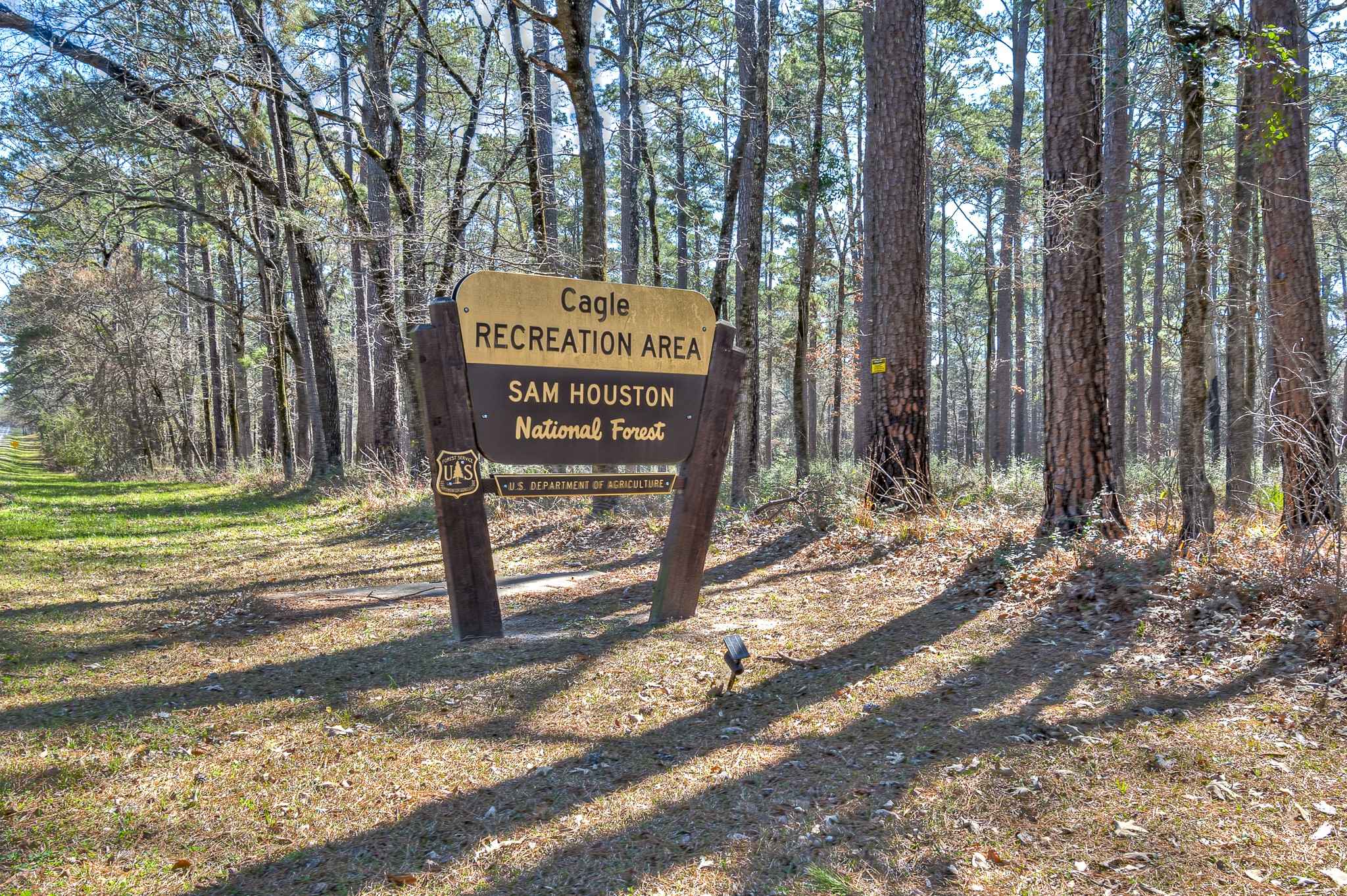 Lot 2 Homestead Hill Road New Waverly, TX 77358 - Photo 4 of 5 a view of a park with tree s