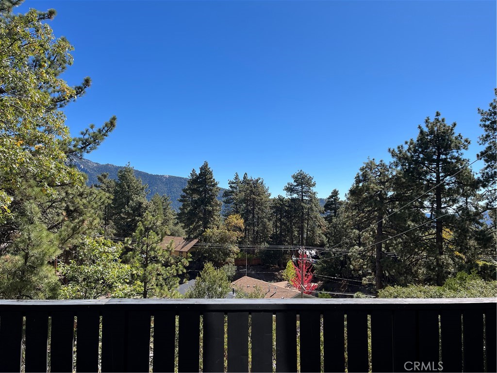 24875 Marion Ridge Drive Idyllwild, CA 92549 - Photo 36 of 47 a view of a forest