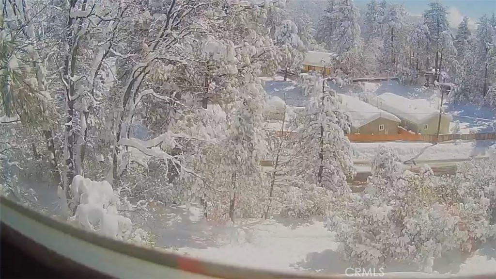 24875 Marion Ridge Drive Idyllwild, CA 92549 - Photo 38 of 47 a view of a dry window in yard