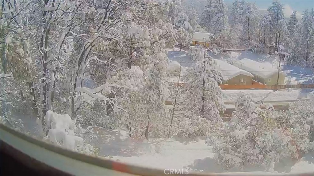 24875 Marion Ridge Drive Idyllwild, CA 92549 - Photo 40 of 47 a view of a dry window in yard