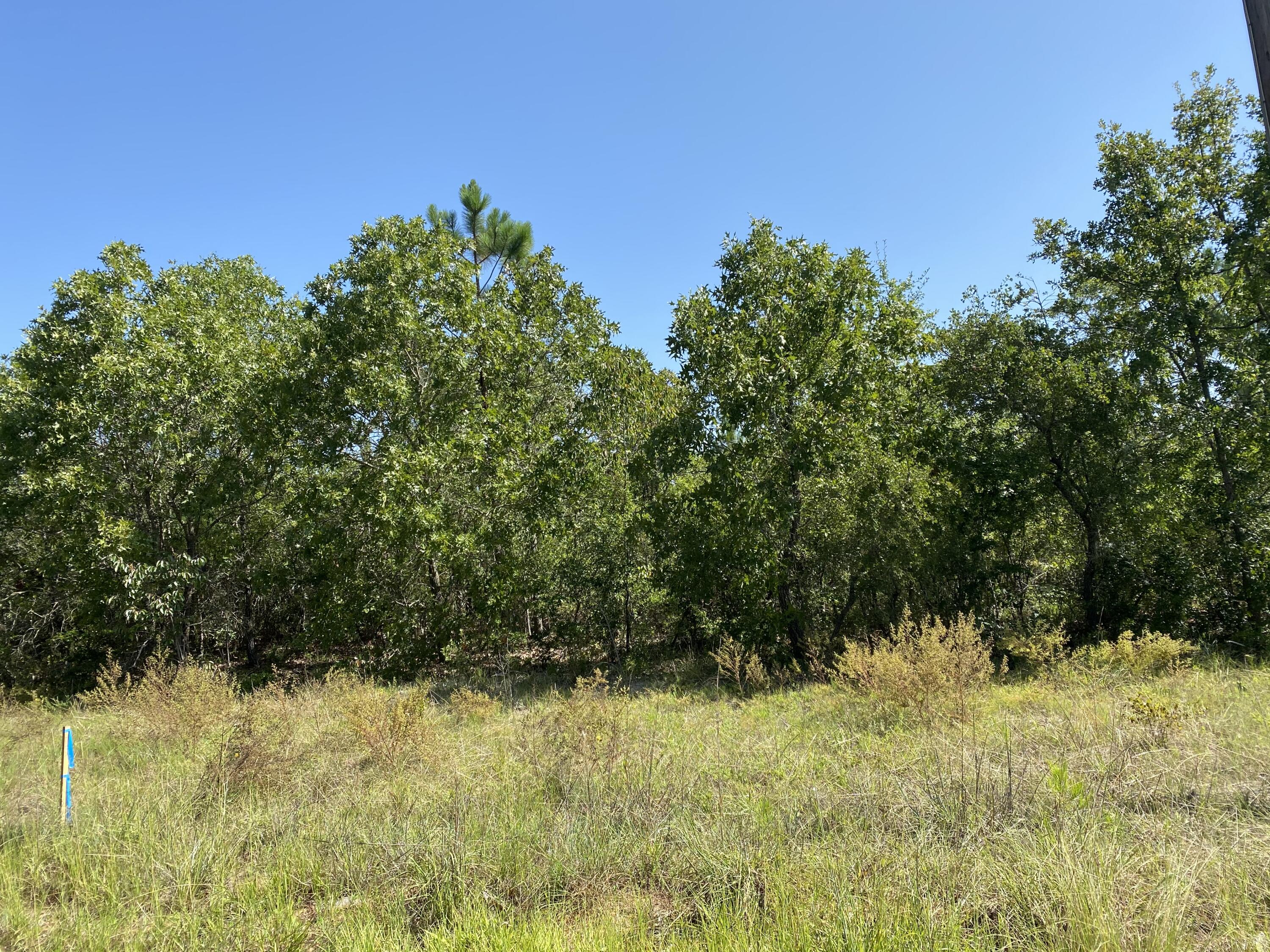 Parcel H Bogeyville Road Ridge Spring, SC 29129 - Photo 1 of 1