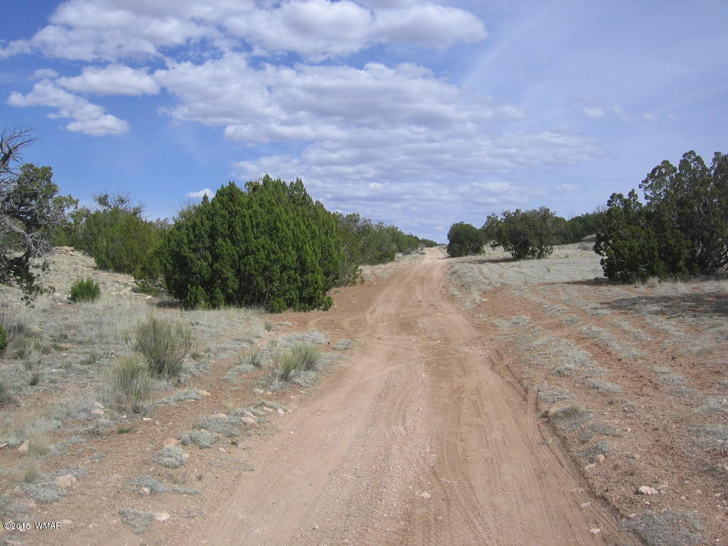 9 T14n R17e:nw4 Sw4 Heber, AZ 85928 - Photo 12 of 23