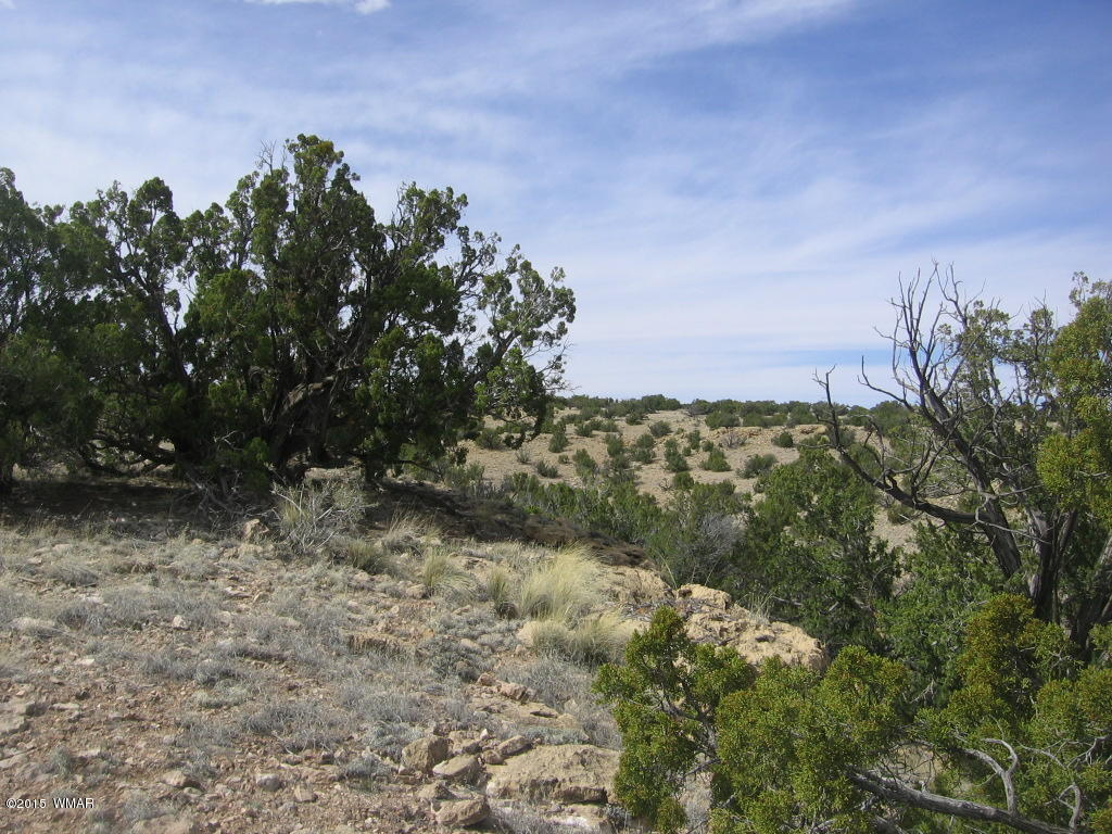 9 T14n R17e:nw4 Sw4 Heber, AZ 85928 - Photo 14 of 23
