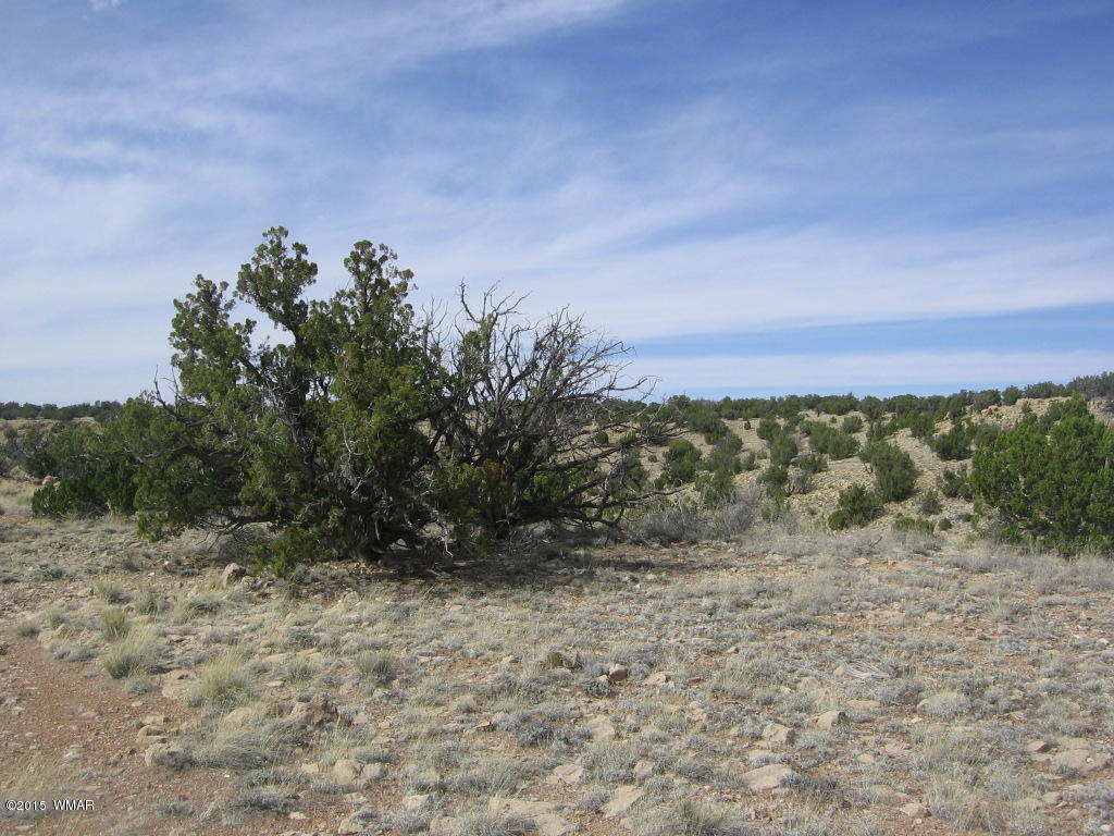 9 T14n R17e:nw4 Sw4 Heber, AZ 85928 - Photo 15 of 23