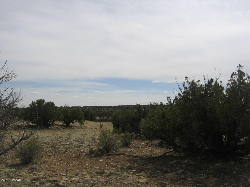 9 T14n R17e:nw4 Sw4 Heber, AZ 85928 - Photo 16 of 23