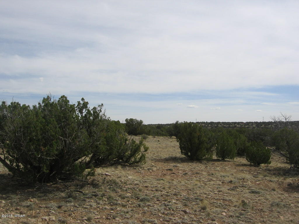 9 T14n R17e:nw4 Sw4 Heber, AZ 85928 - Photo 17 of 23