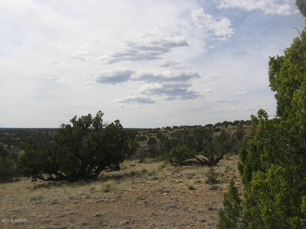 9 T14n R17e:nw4 Sw4 Heber, AZ 85928 - Photo 18 of 23
