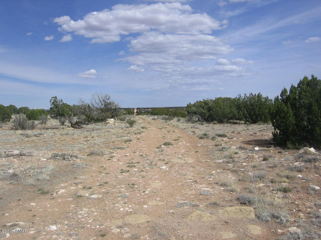 9 T14n R17e:nw4 Sw4 Heber, AZ 85928 - Photo 19 of 23