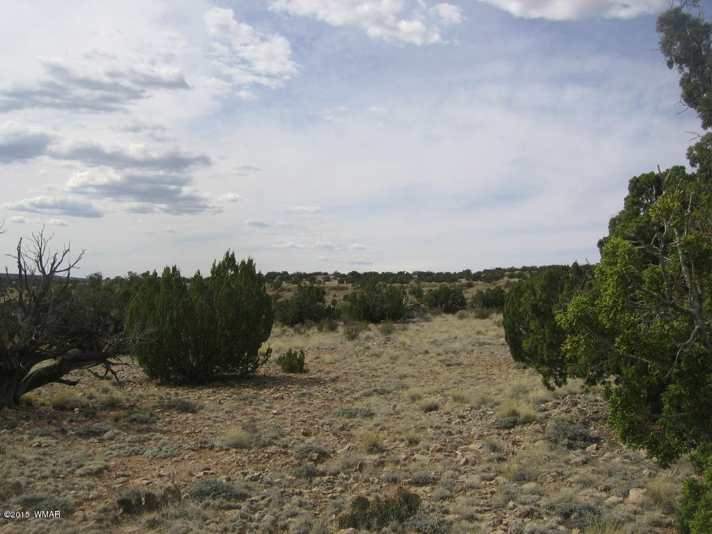 9 T14n R17e:nw4 Sw4 Heber, AZ 85928 - Photo 20 of 23