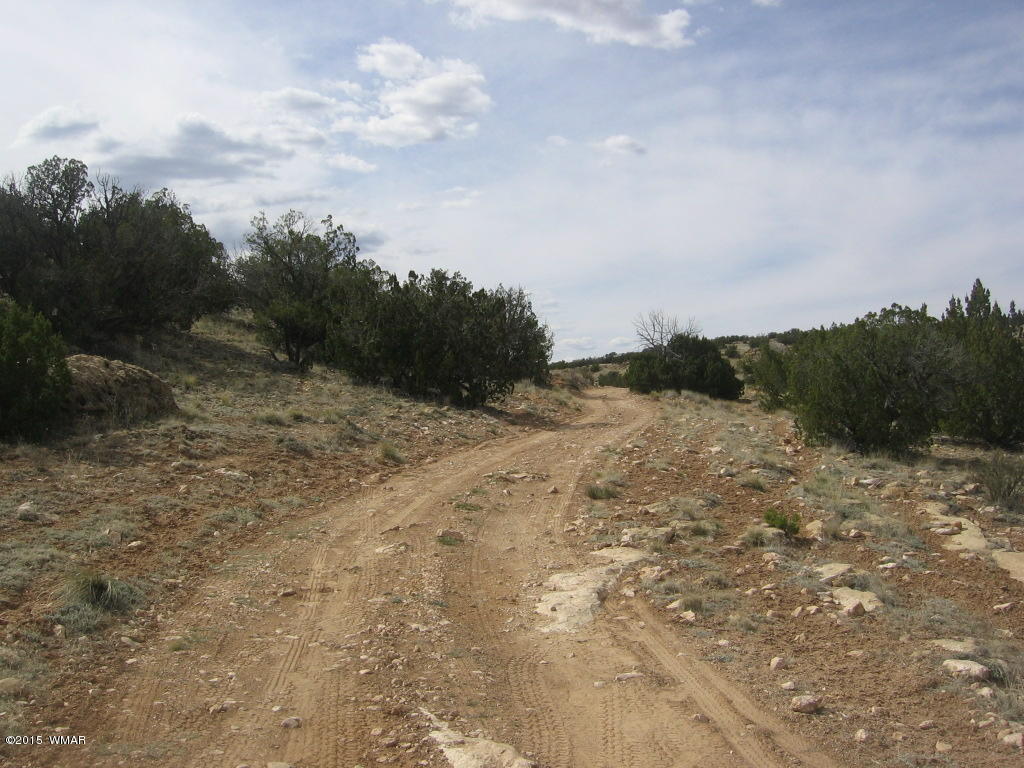 9 T14n R17e:nw4 Sw4 Heber, AZ 85928 - Photo 21 of 23