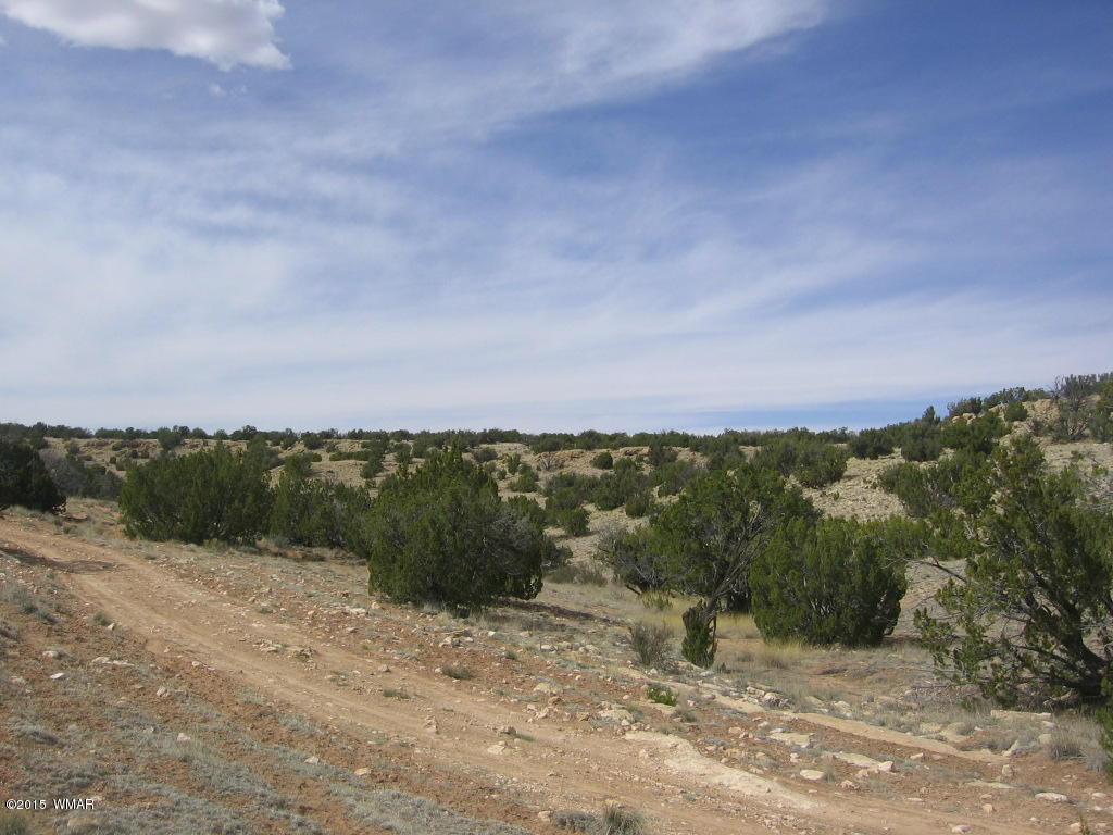 9 T14n R17e:nw4 Sw4 Heber, AZ 85928 - Photo 23 of 23