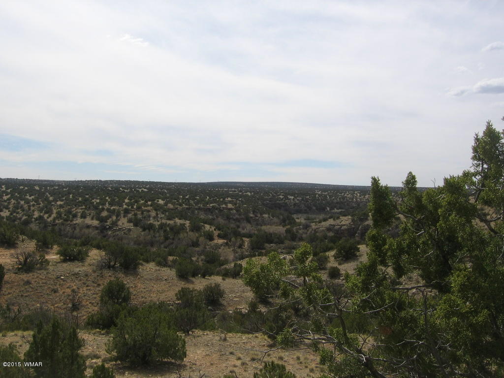 9 T14n R17e:nw4 Sw4 Heber, AZ 85928 - Photo 3 of 23