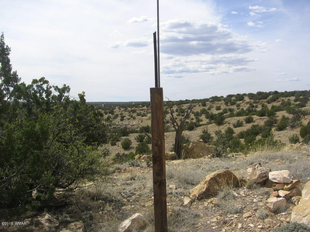 9 T14n R17e:nw4 Sw4 Heber, AZ 85928 - Photo 4 of 23