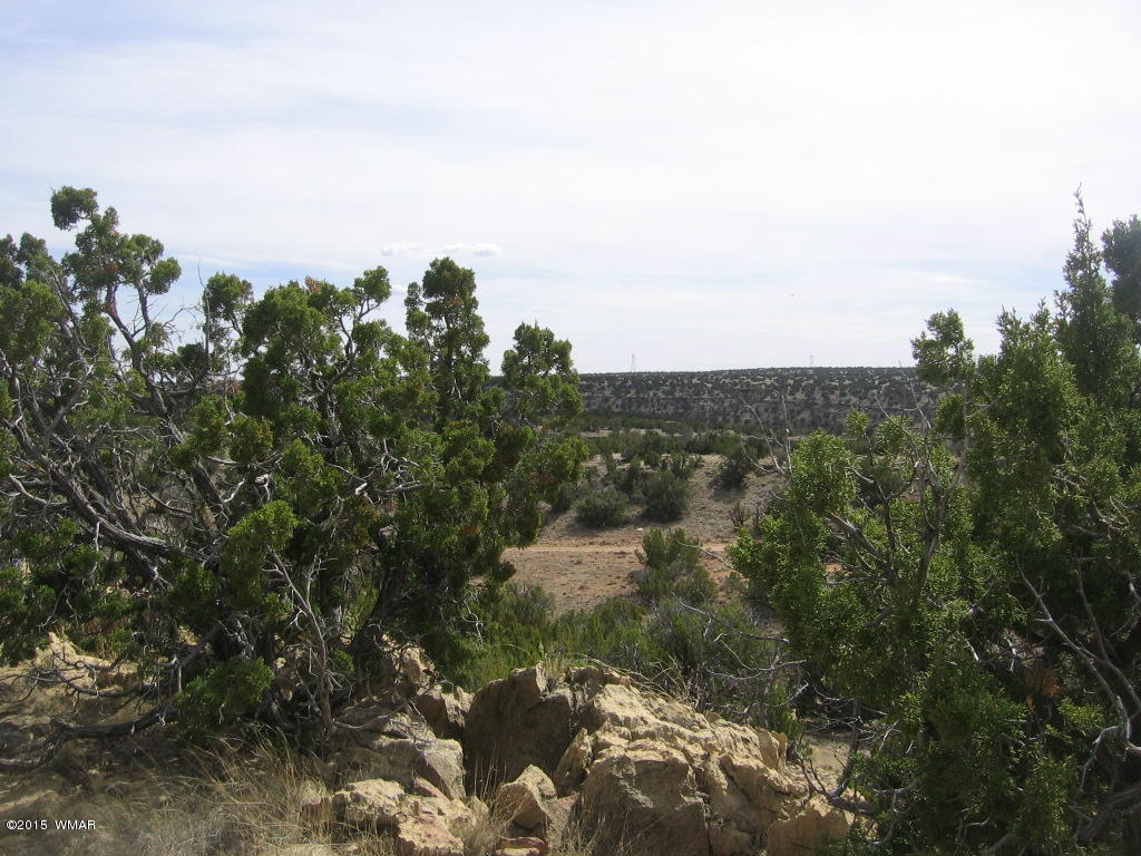 9 T14n R17e:nw4 Sw4 Heber, AZ 85928 - Photo 5 of 23