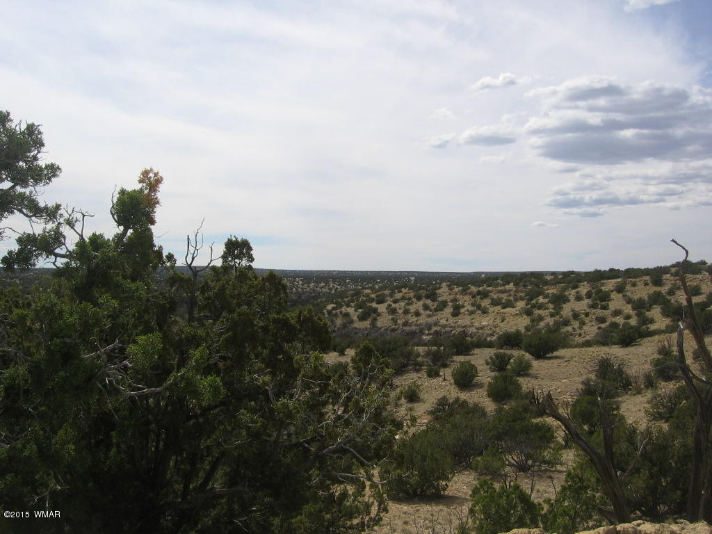 9 T14n R17e:nw4 Sw4 Heber, AZ 85928 - Photo 6 of 23