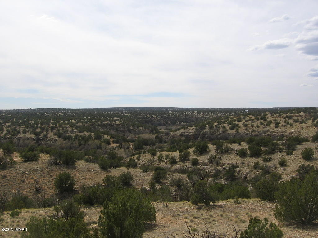 9 T14n R17e:nw4 Sw4 Heber, AZ 85928 - Photo 7 of 23