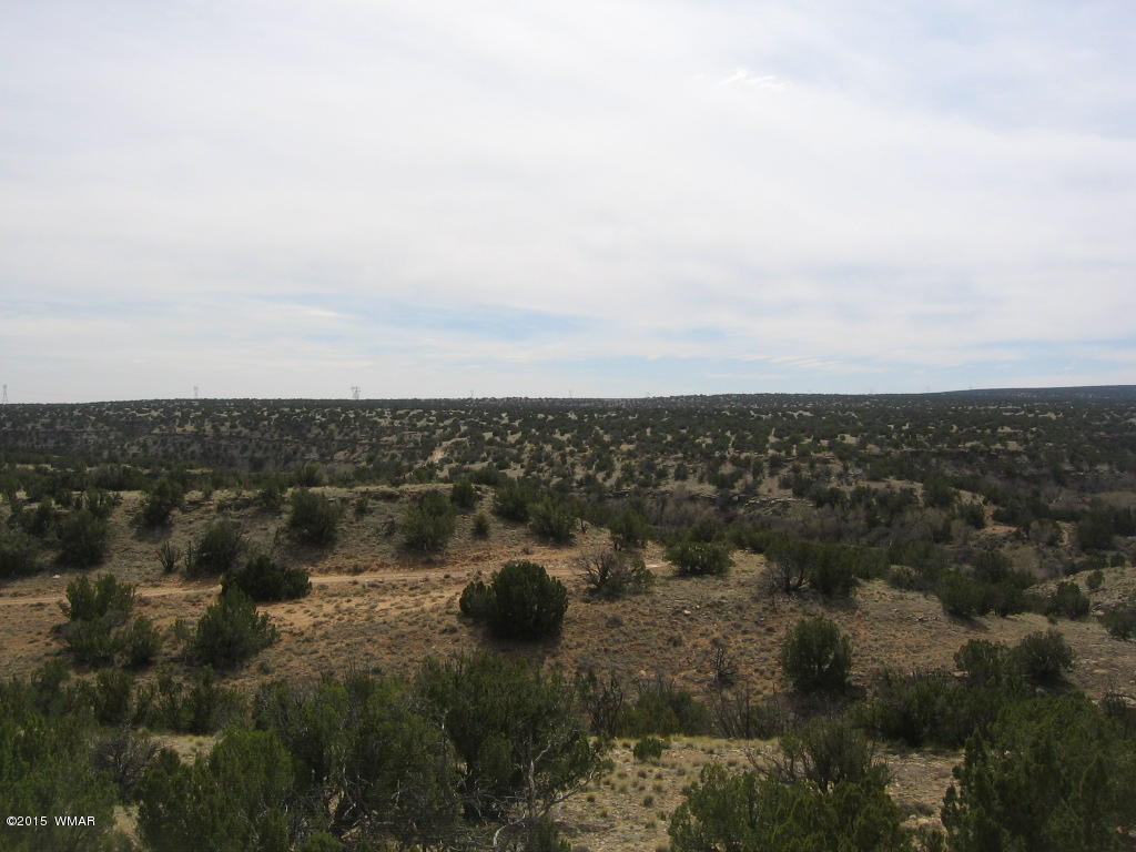 9 T14n R17e:nw4 Sw4 Heber, AZ 85928 - Photo 8 of 23