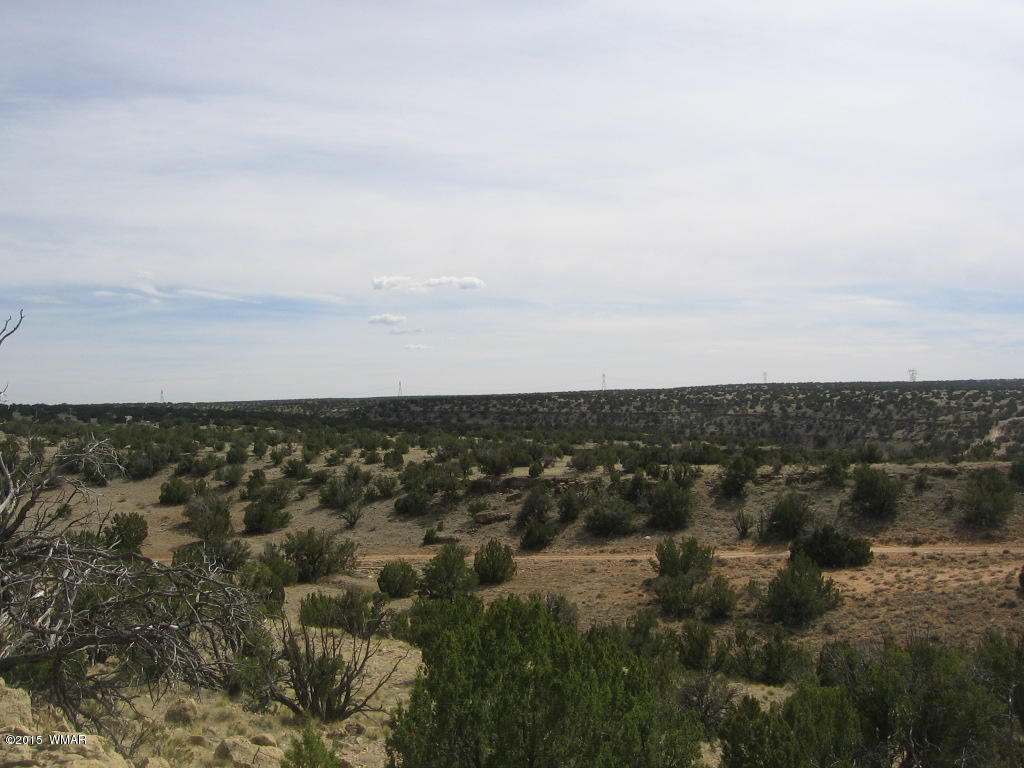 9 T14n R17e:nw4 Sw4 Heber, AZ 85928 - Photo 9 of 23
