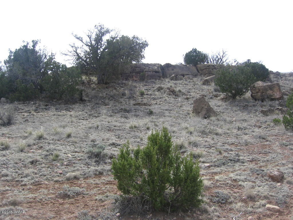 9 T14n R17e:nw4 Sw4 Heber, AZ 85928 - Photo 10 of 23