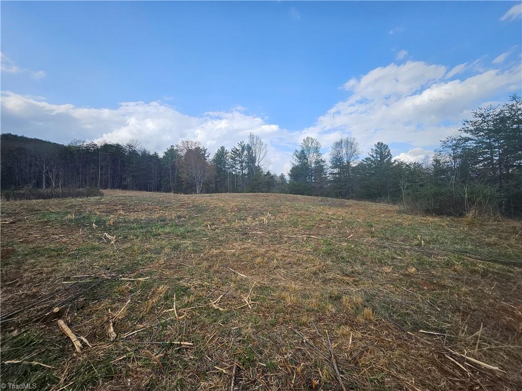 0 Blue Hollow Road, Unit 27 Mount Airy, NC 27030 - Photo 9 of 11