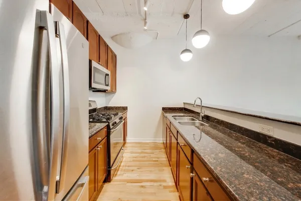 $300,000 | 1069 West 14th Place, Unit 228, Chicago, IL 60608