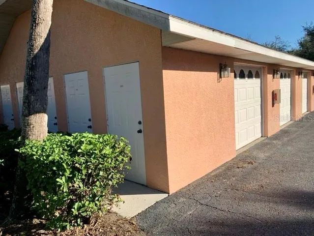 a view of a yard with plants and trees