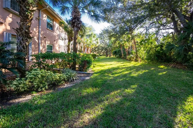 a view of a yard with plants and large trees