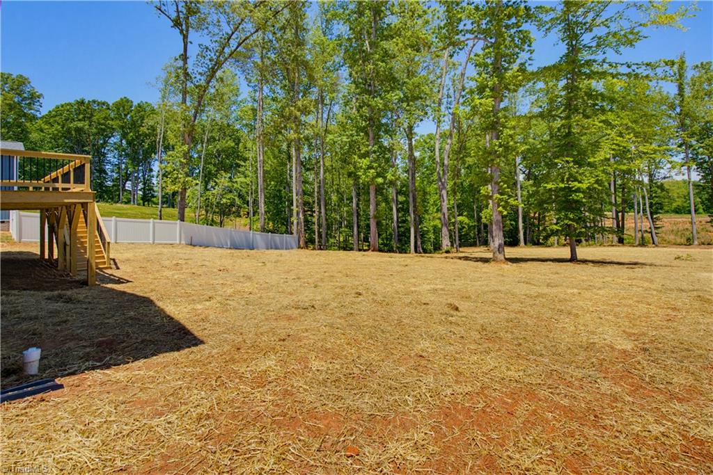 1343 Simpson Road Stokesdale, NC 27357 - Photo 29 of 29