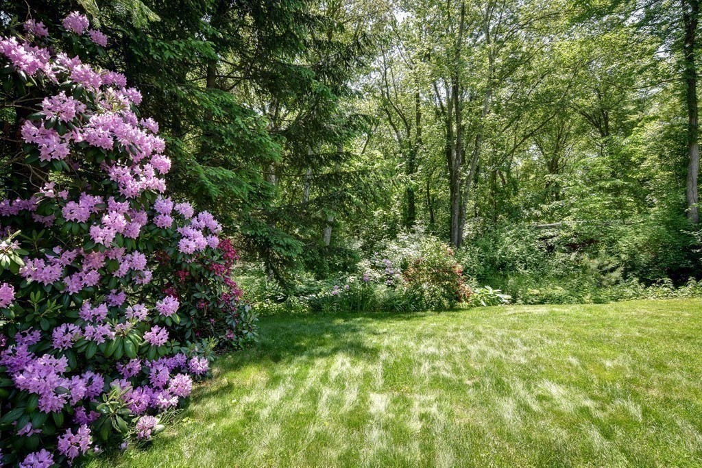 9 Braemore Road Natick, MA 01760 - Photo 22 of 24 a view of a flower arrangement in a garden