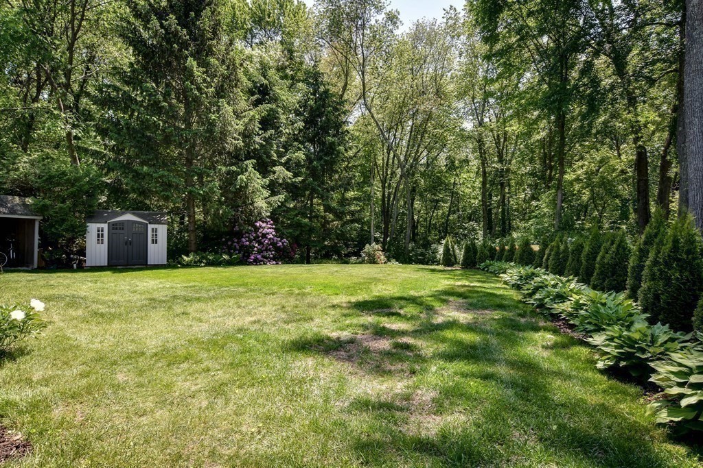 9 Braemore Road Natick, MA 01760 - Photo 24 of 24 a backyard of a house with trees