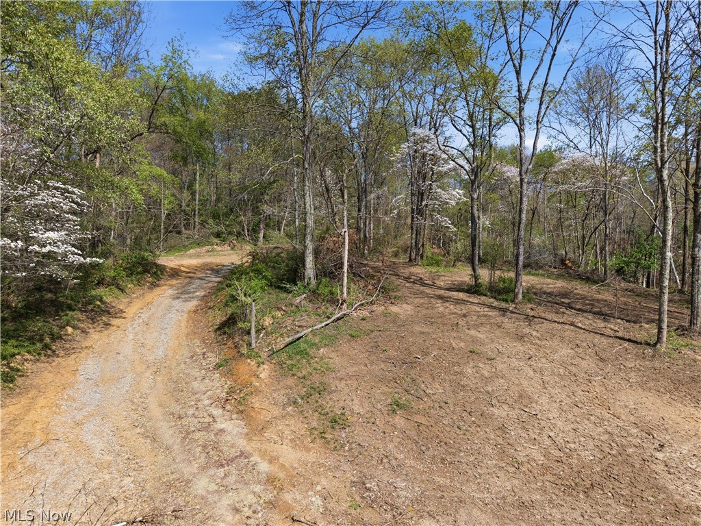 59674 Yoker Valley Road Quaker City, OH 43773 - Photo 41 of 50